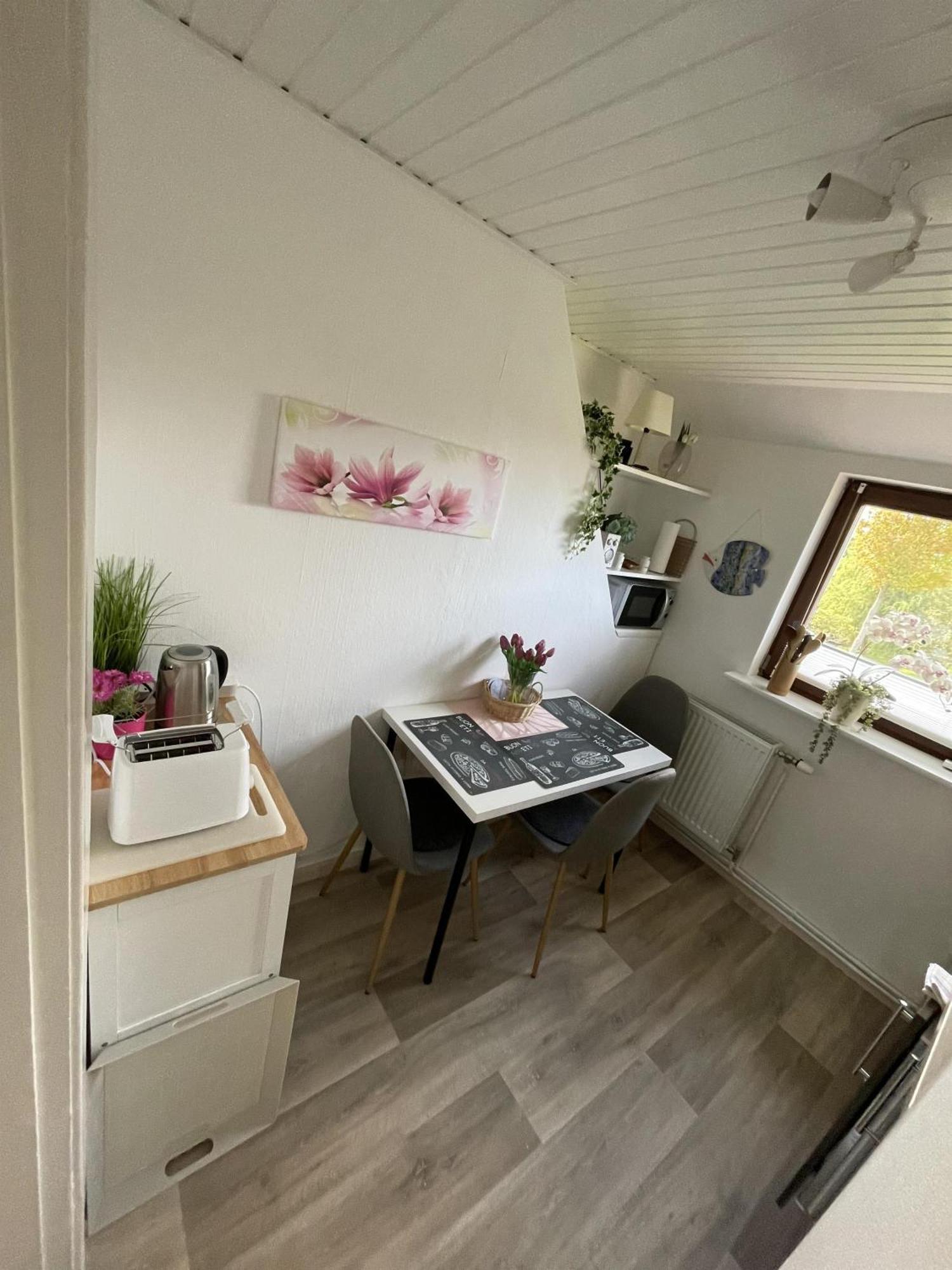 בורהאבה Ferienwohnung Alice מראה חיצוני תמונה